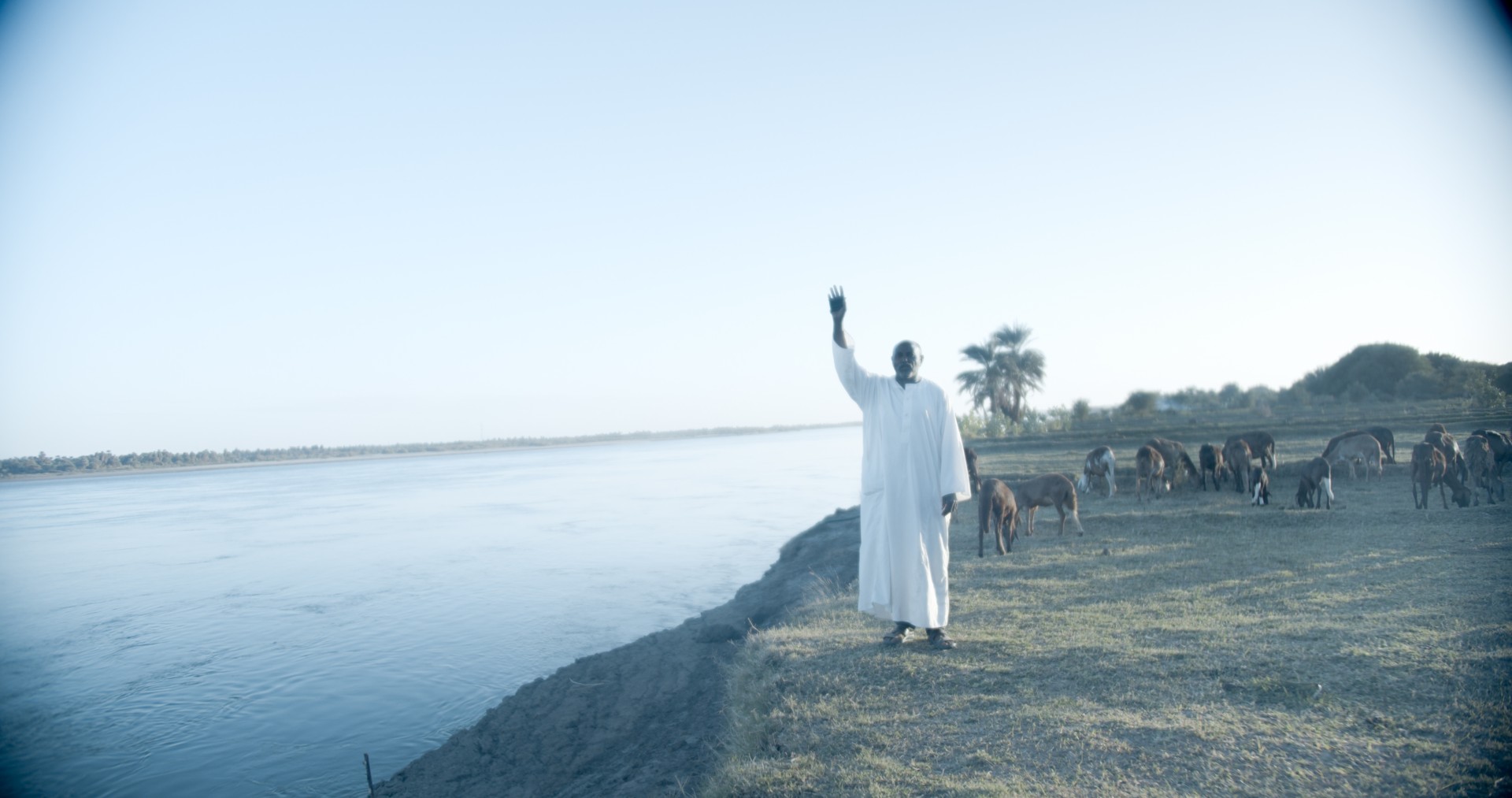 A photo of a man standing on the edge of a piece of land next to a river, presumably the Nile. He is dressed in white and is raising one hand. There are goats behind him.