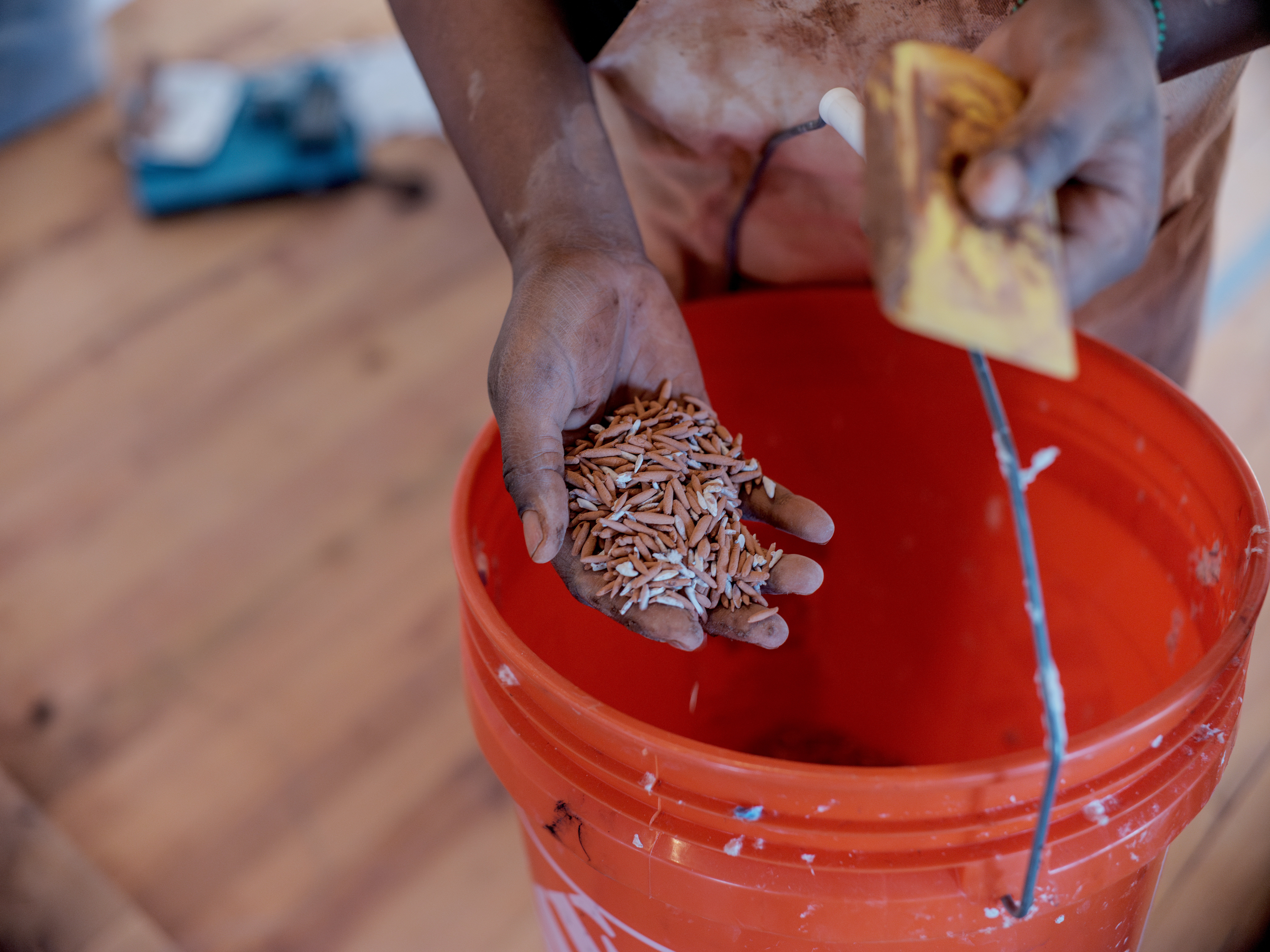 Adebunmi shows the camera brown and white grains of rice in her hand. She holds her hand over an orange bucket.