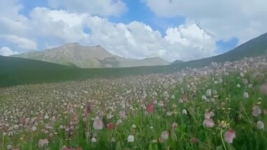 Still from the VR Tibetan landscape scene in NEXT LIFE.