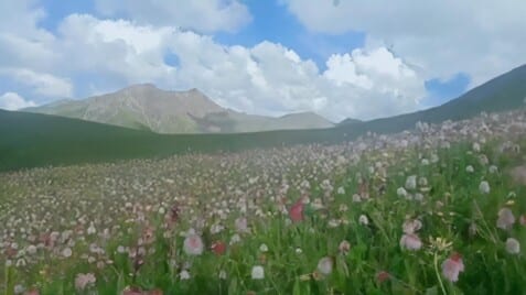 Still from the VR Tibetan landscape scene in NEXT LIFE.