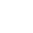 Catapult Film Fund logo in white