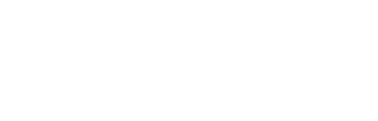 Deezer logo in white