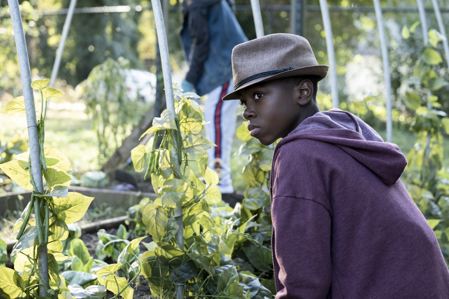A young black boy in a maroon hoodie and a hat kneels next to a vegetable garden. His gaze is directed offscreen.
