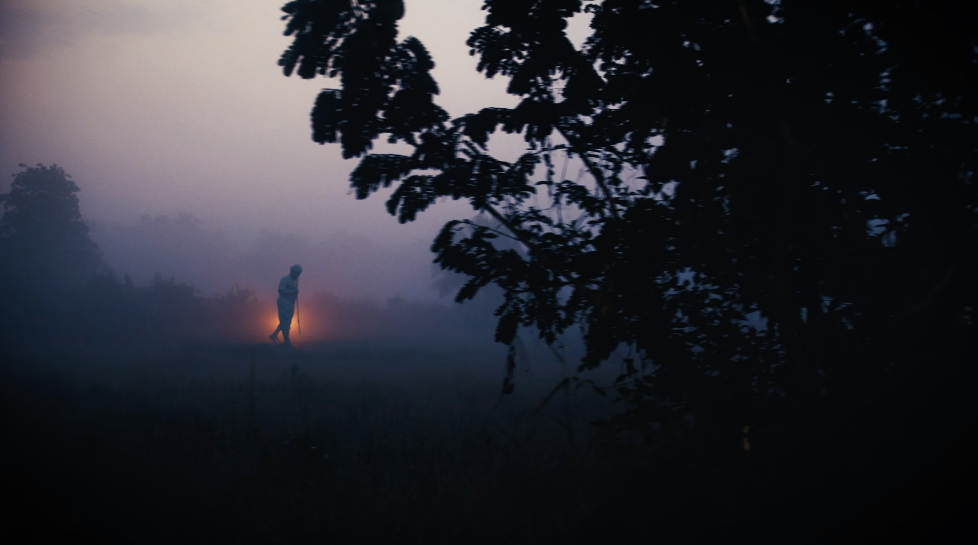 A still from Golden Jubilee. It shows a person walking through a dark field. There is a tree in the foreground, the sky is hues of purple. There is a soft golden light behind the person.