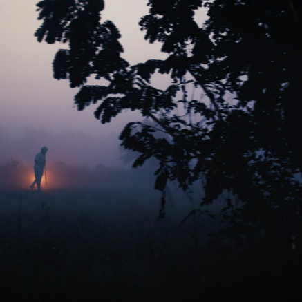 A still from Golden Jubilee. It shows a person walking through a dark field. There is a tree in the foreground, the sky is hues of purple. There is a soft golden light behind the person.